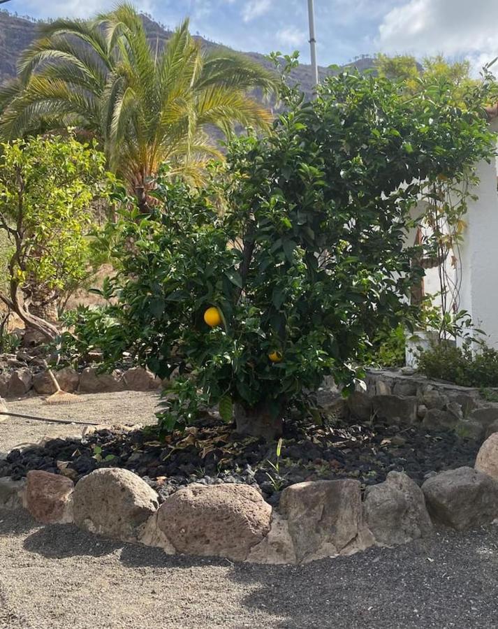 MogánCasa Colonia公寓 外观 照片