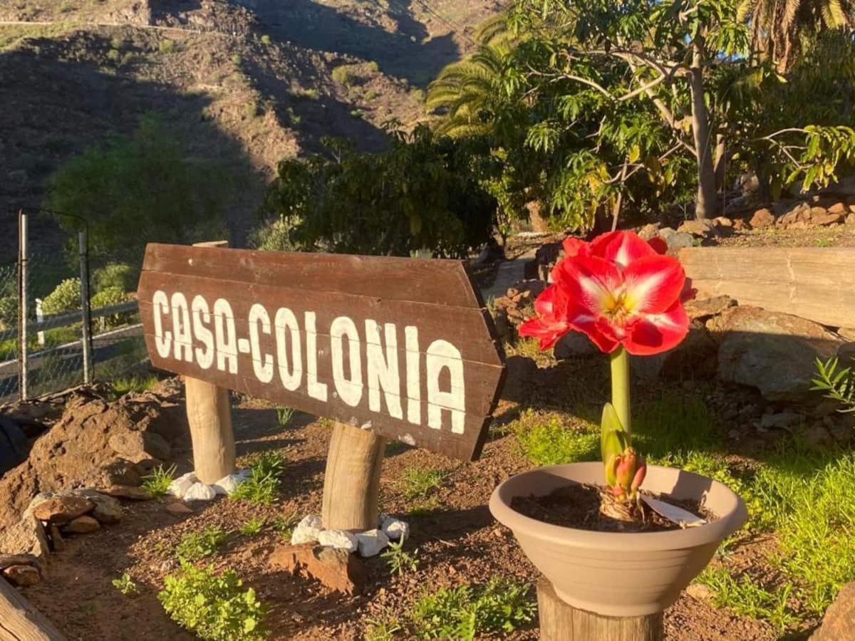 MogánCasa Colonia公寓 外观 照片